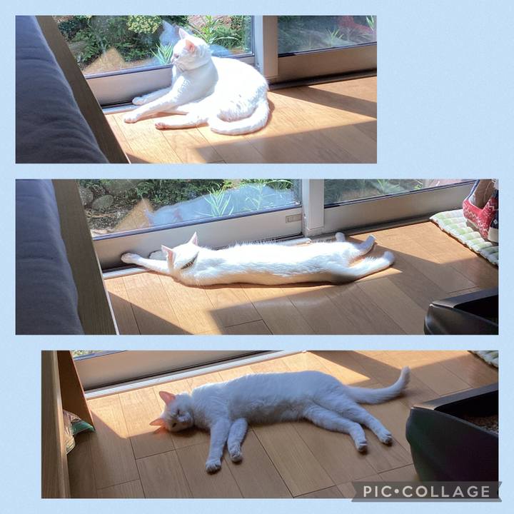 72051a17 882f 41d5 957e a4f057da9fc1 1659320415424