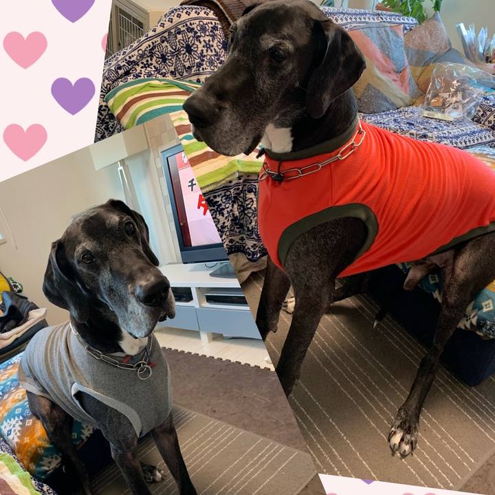 72052f0c d513 4dcb 9229 e9f140467b7c 1581231399623