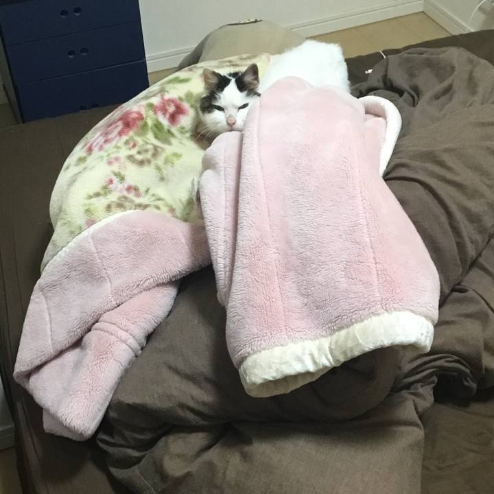 720545c6 7199 4d3a af3e 5b795a3930a0 1591542614021