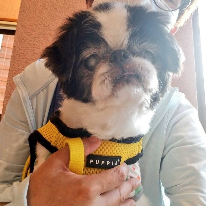 72056de4 09ac 46f5 9859 00f2755d9169 1621935442868