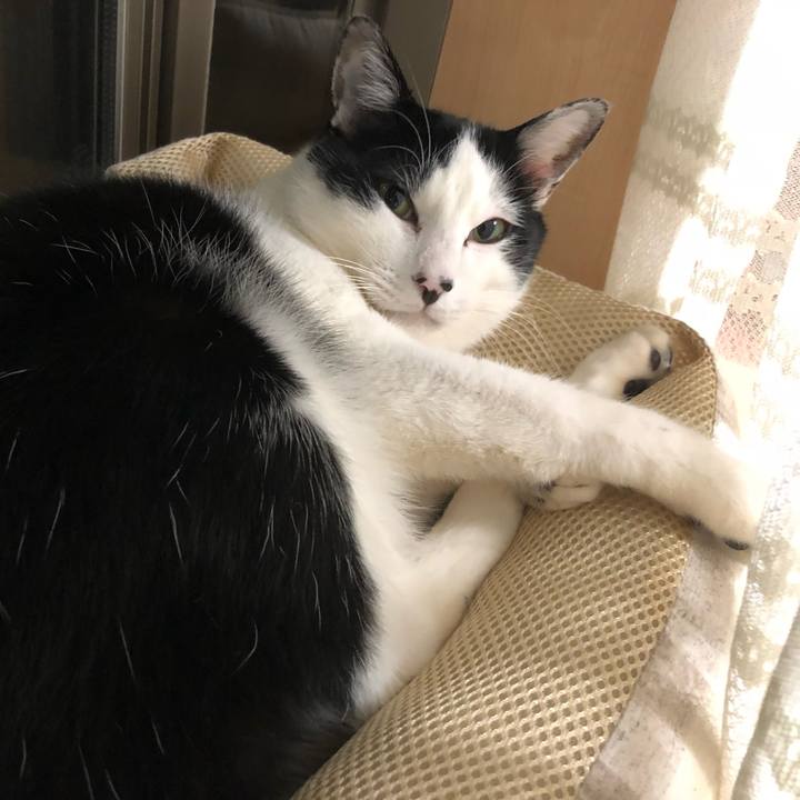 7205b61f ac1a 4446 b928 92cfb2eff4ce 1555588020882