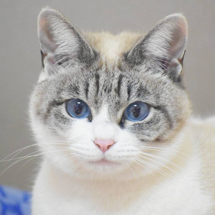 7205e839 9d3f 4e47 b775 55cb25576c2b 1551651387655