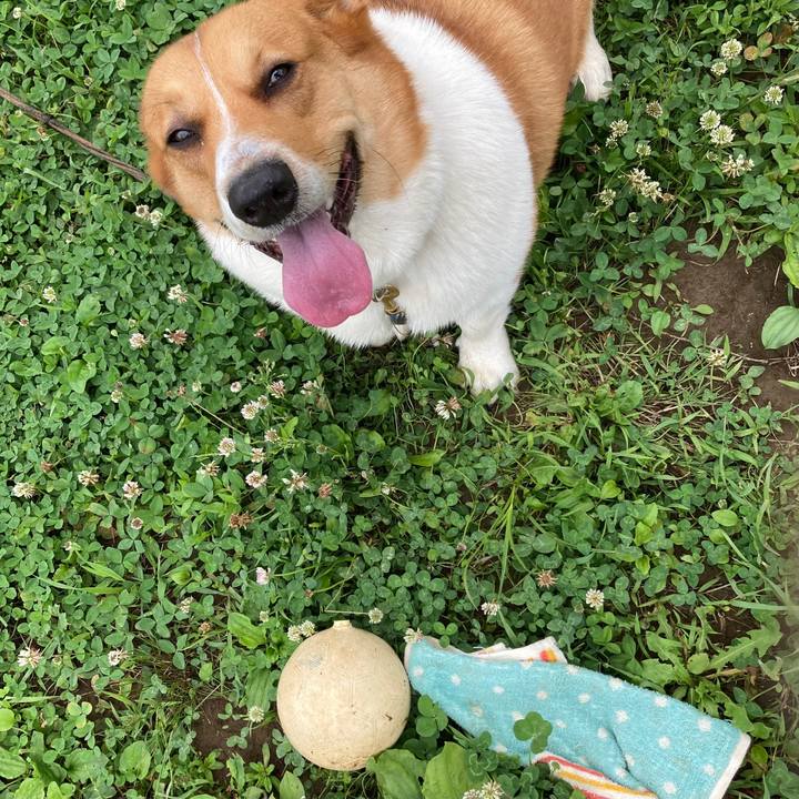 7205e90a fa5f 4689 a3db f33fea2ead40 1655163744375