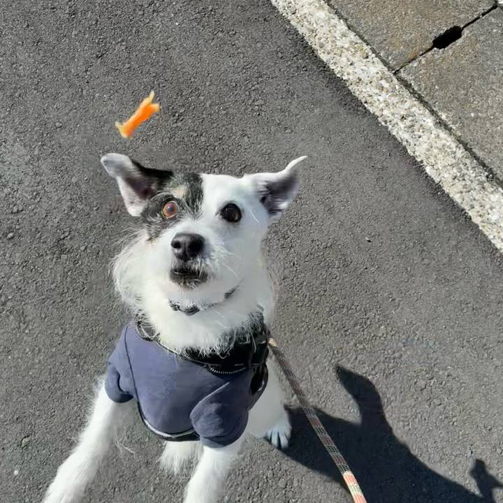 7205f141 1624 4cb4 b141 1d4df5e60671 1775174889641