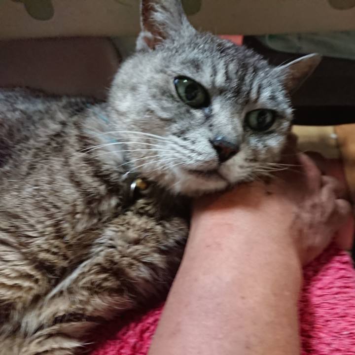 72061974 6596 4f77 afd5 e215bf769400 1564227190792