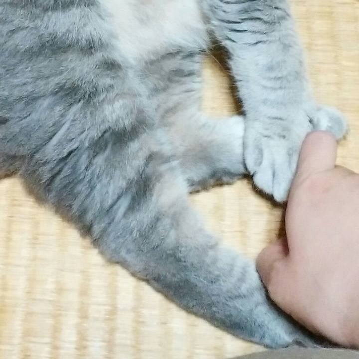 72061ef8 02ed 4a3d b337 1f3da1e3ed2d 1594901812096