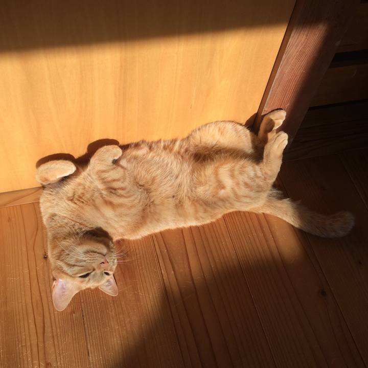 72062b81 7531 4de7 88b3 317eccd26a76 1523318554878