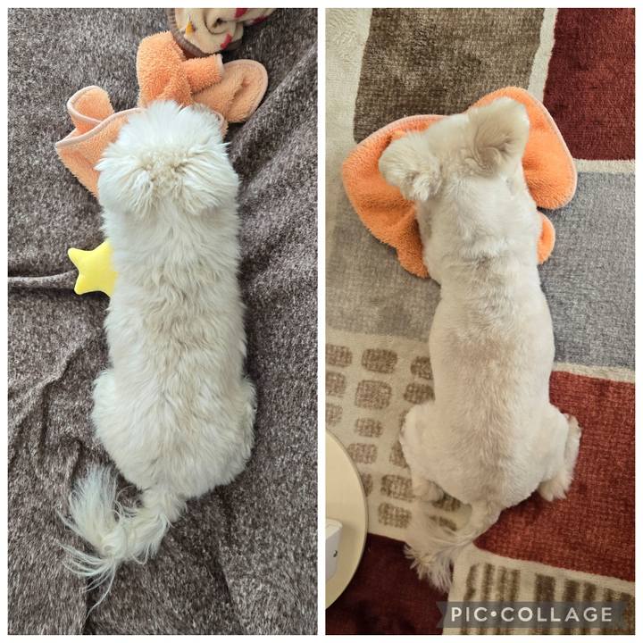 72063143 1fbc 40ff b1e9 b5044bb01e3d 1774148139800