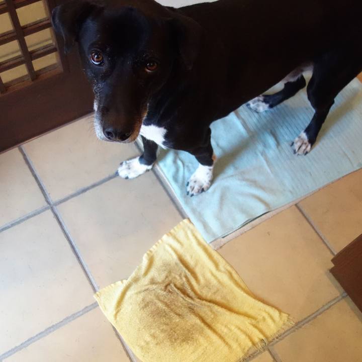 720632e4 e6e8 4b73 b12d aed011cb8003 1705367746071