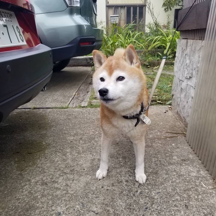 72066d0e 7c88 426d 90ab e1467672facc 1697069205739