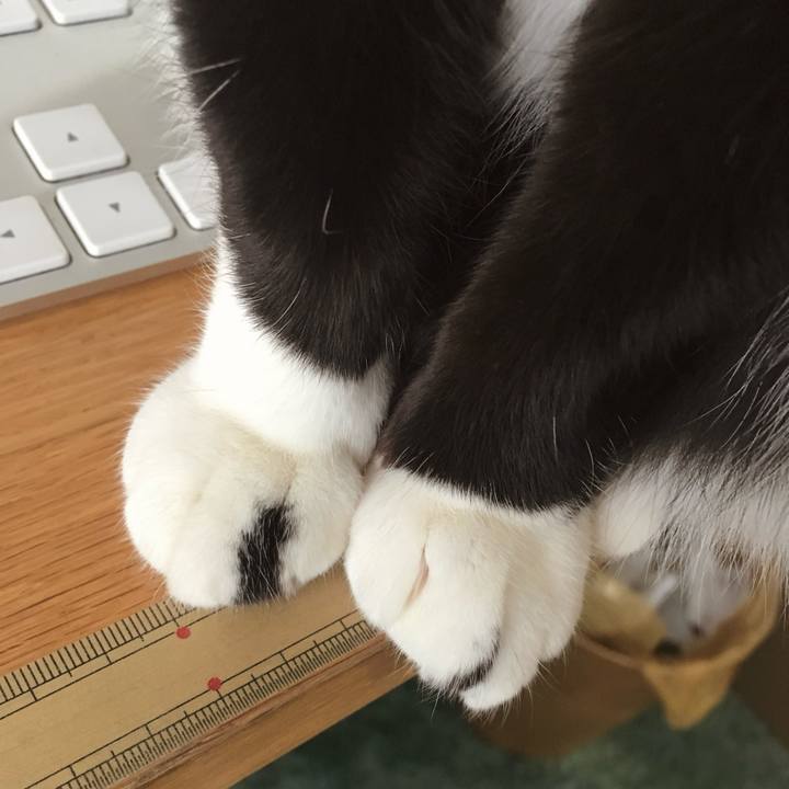 72068434 ab86 45f6 a6bd 14b08ecab9e7 1769814298056