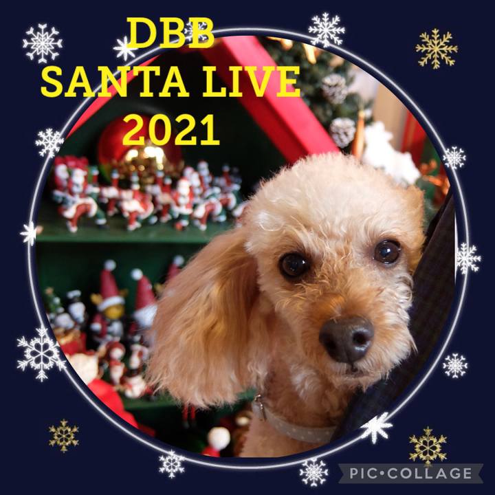 7206930b 0d64 4100 9225 2393efe7c94b 1639869600033