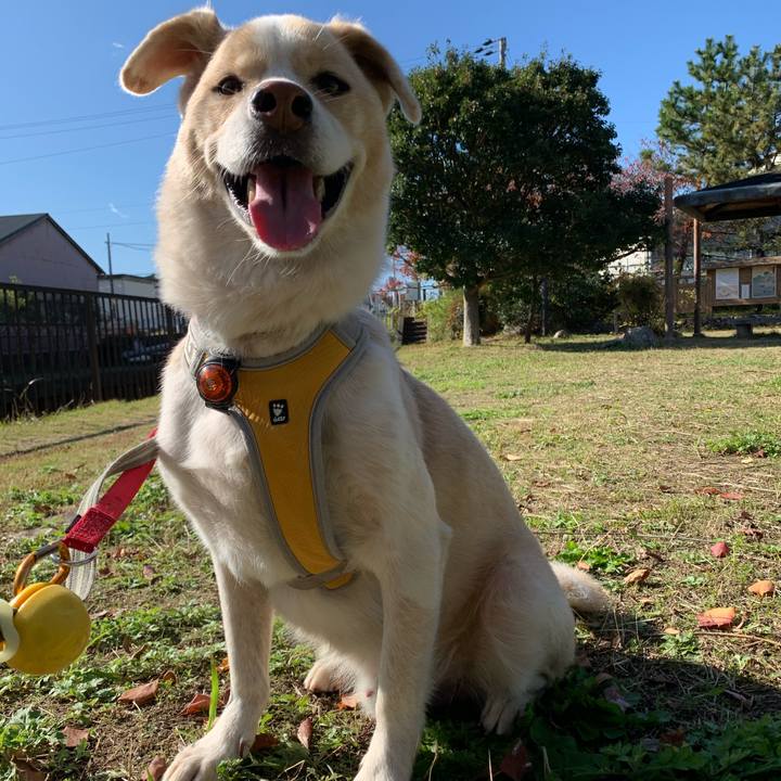 7206b8f3 ebc5 46e8 a480 6fe3e593528d 1575167772554