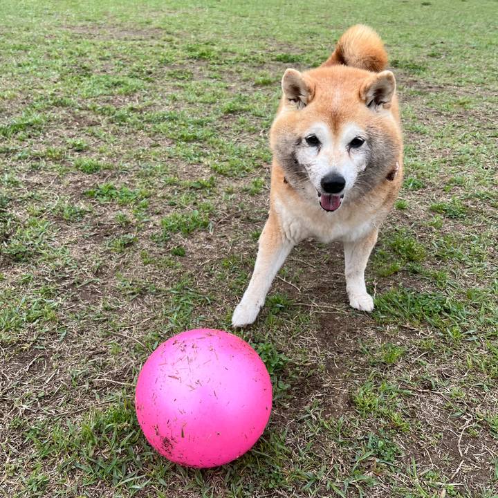 7206bdc3 3f76 4e9b 8fd1 dad5e886a364 1714133883405