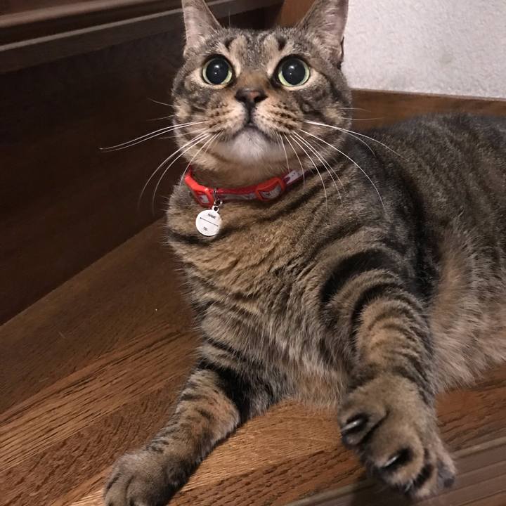 7206c3b4 a23b 42fb 8e14 c4451616e1a5 1623416131790