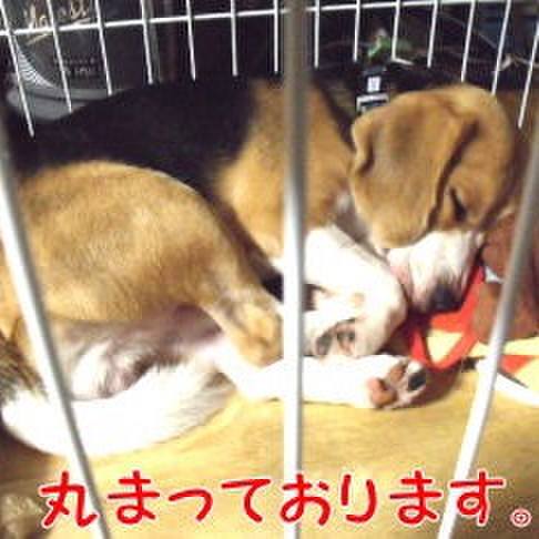 7206d63e a82a 44a9 b650 27221e14cd56 1695769377302