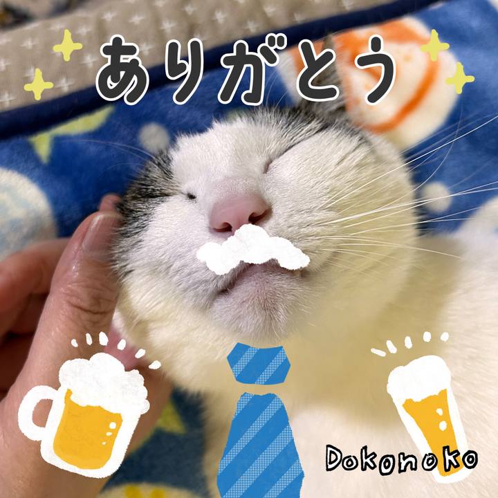 7206ea53 1b75 4a57 8d48 e2755db61522 1717683506525