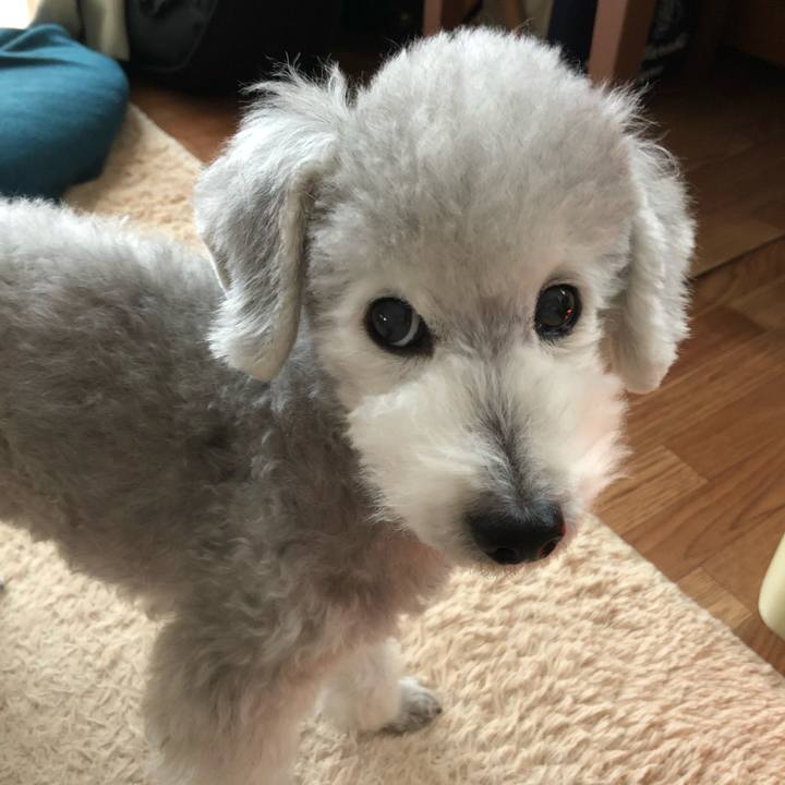 7206ff04 02f8 46bc be33 ac14defe4cb6 1576652838340