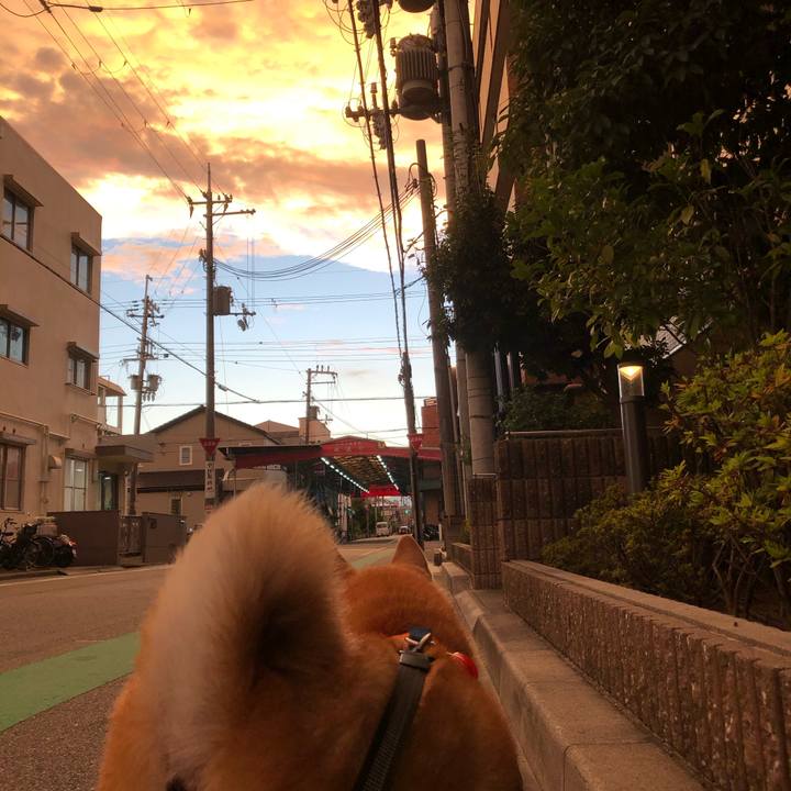 720720cb 119f 4ac2 806b 57e7d064765f 1598615303167