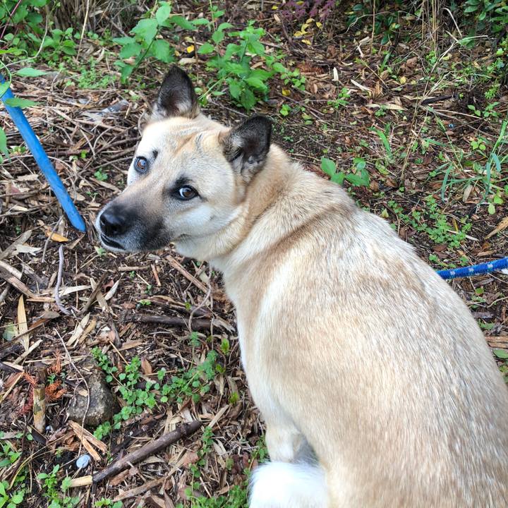 72077881 f1d5 4b99 8527 288c949604ac 1556715580822