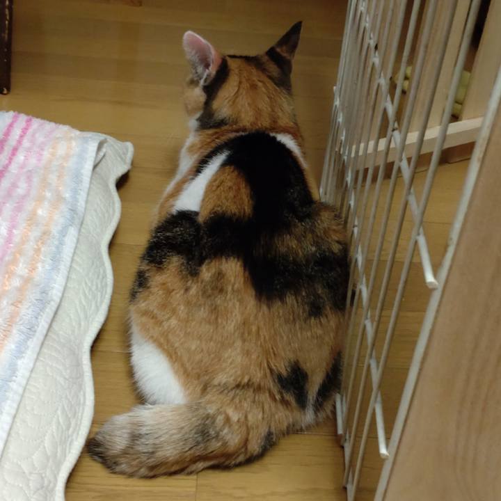 7207f096 0bab 470b a9f4 63a028a6d895 1632432630675