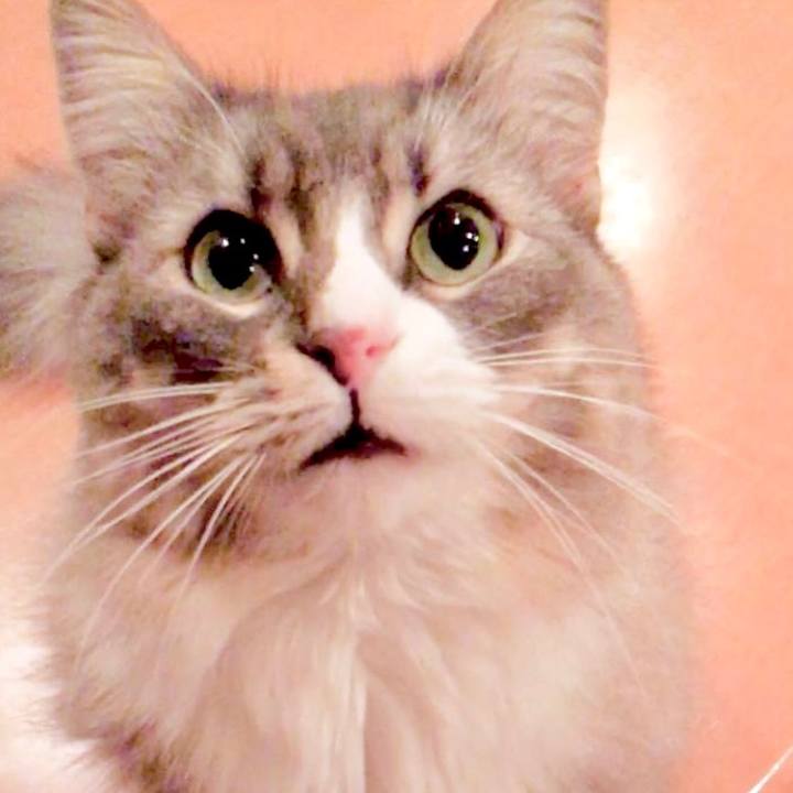 7208030d fbe0 4462 ba4e 769ccc6f7183 1629047375976