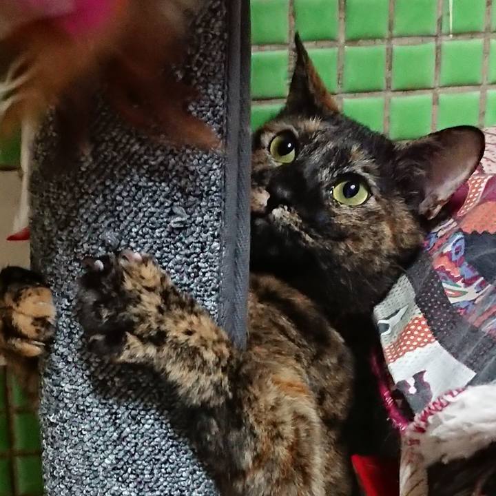 7208152f d3be 42cd ba78 4b1d29e626d9 1536752811033