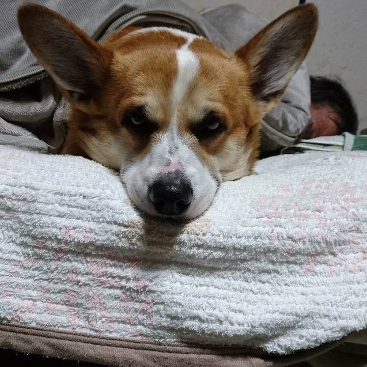 72082b5b 708e 4b92 88fa 3f569d852638 1612447459426