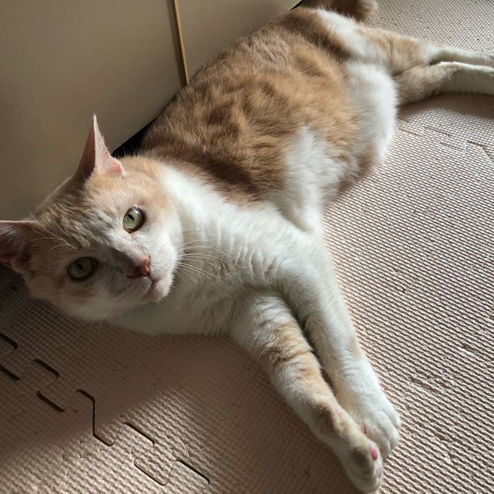 72083247 d153 491e b1a5 a10bb810572e 1626914481375