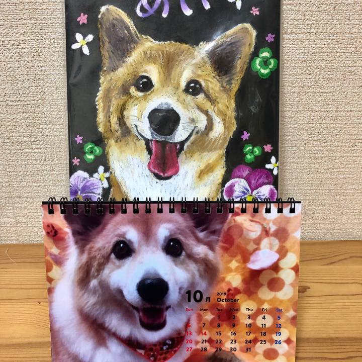 72083961 f102 48df b661 9d469b37ed68 1570016238478