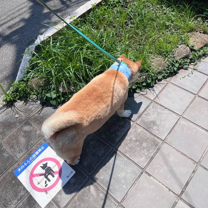 720860e1 81b6 45a9 8a44 263d1e39a774 1720058800178