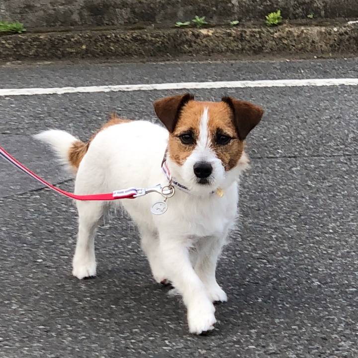 72086dd4 835f 4841 aa06 fa516431bd7b 1523019556007