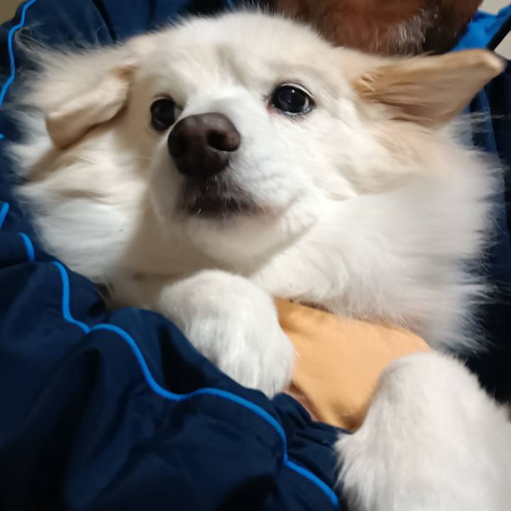 72087860 51bc 403b b06b 28e208879291 1709763612609