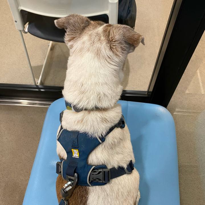 7208a970 473a 4a6d 9035 794bbf63cd71 1677748385402