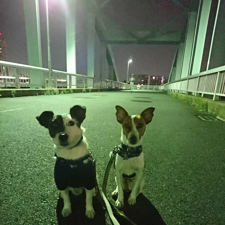 7208aae3 a4cf 4fa2 85f6 b4e8ae1f0102 1526472485545