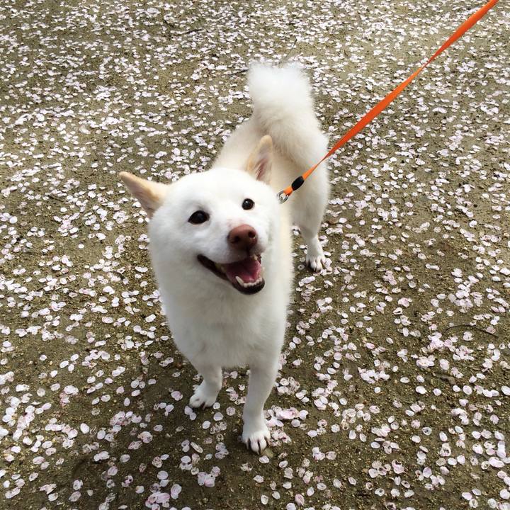 7208d107 9f73 4d9a a5d4 3aa9da4828f6 1744088999192