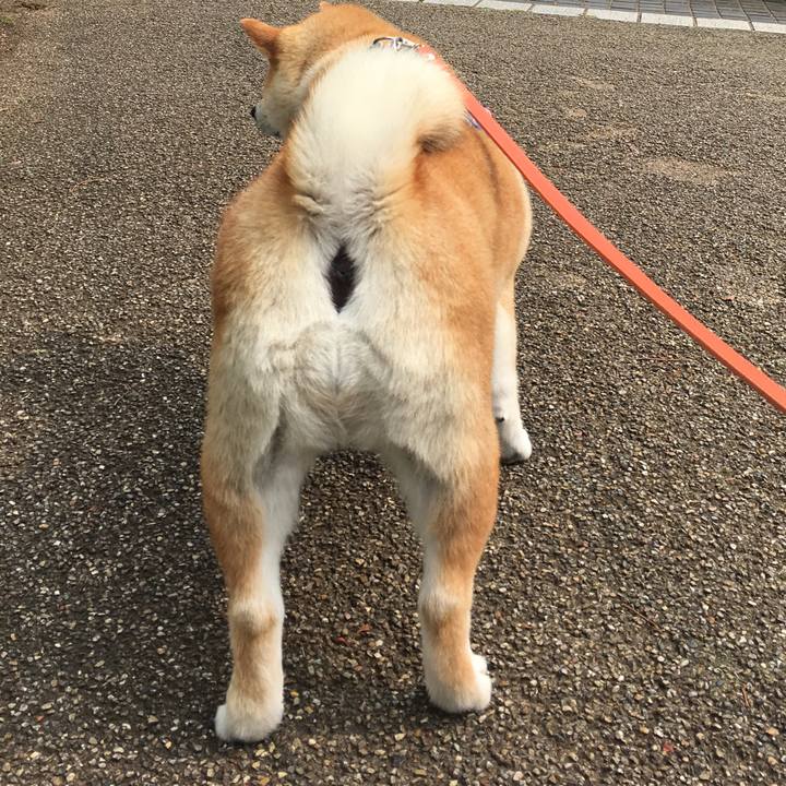 7208d192 bac4 4381 bbd2 0722438812f2 1560997351446