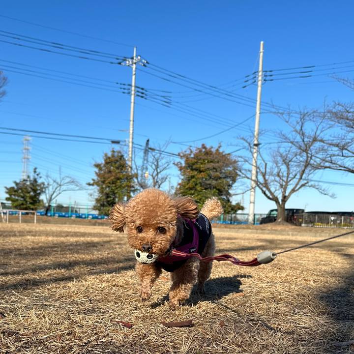 7208e0e6 3437 4bd0 8223 5dd1fe50e49c 1765330344540