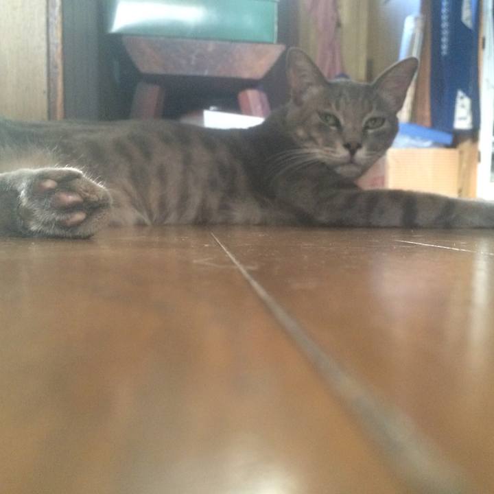 7208e81b 6582 40d0 baa4 bc9014d09e87 1532090090705