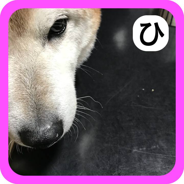 7208ed06 5b4c 400b 8730 9c1190fc11dc 1514815003210