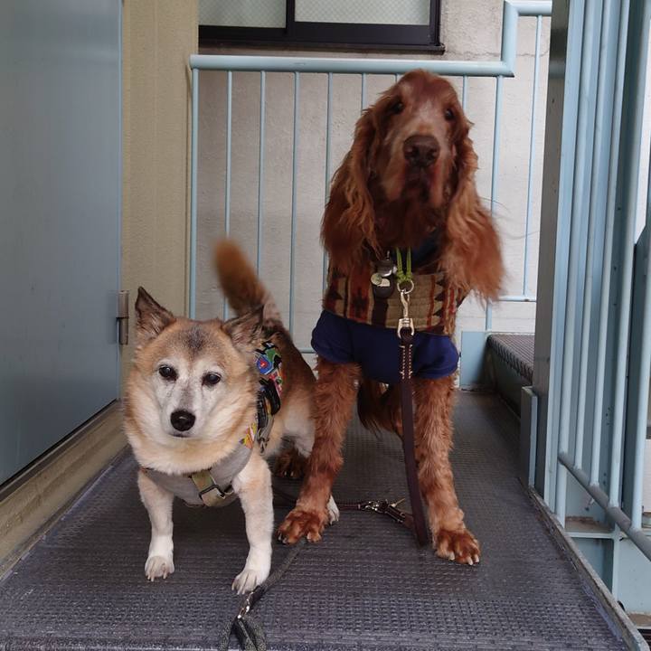 7208f871 e0e8 4630 9ef6 fa3515106a43 1705315186621