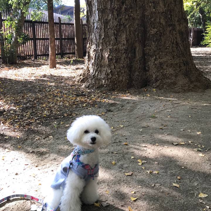 72096c8b da89 4195 b65d 986714d3f741 1543121414913