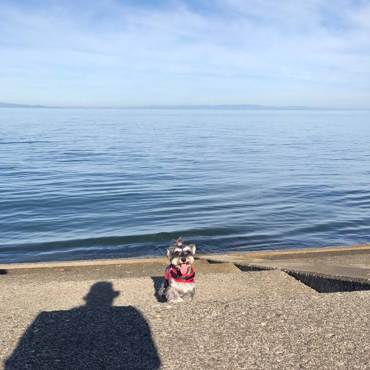 7209779f 0fd4 4104 a3d0 d9ca79d01ce0 1567819239145