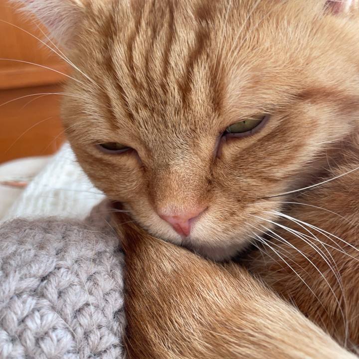 7209a33c 2a50 49ce 9f6f 499b2148c027 1767328460274