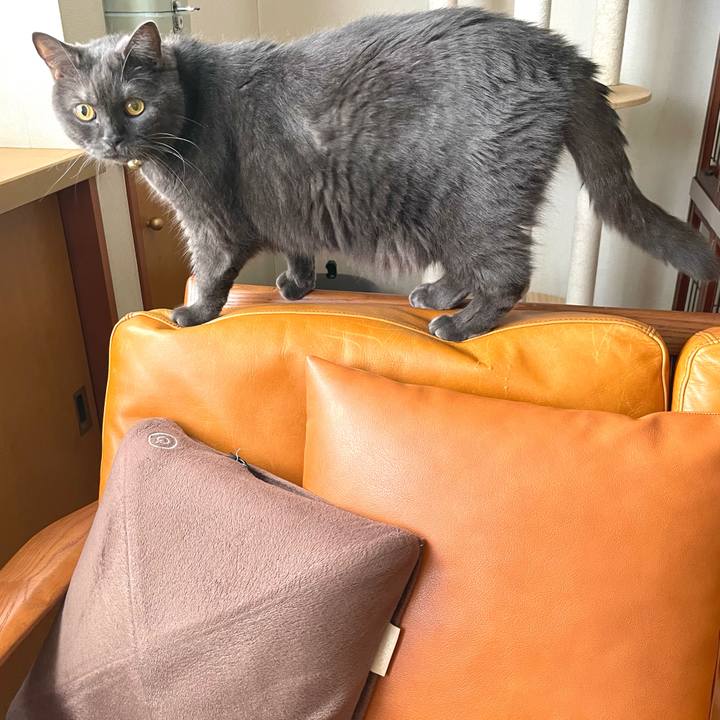 7209b69e ff05 4632 bd59 c66f6d63d82d 1760439462960