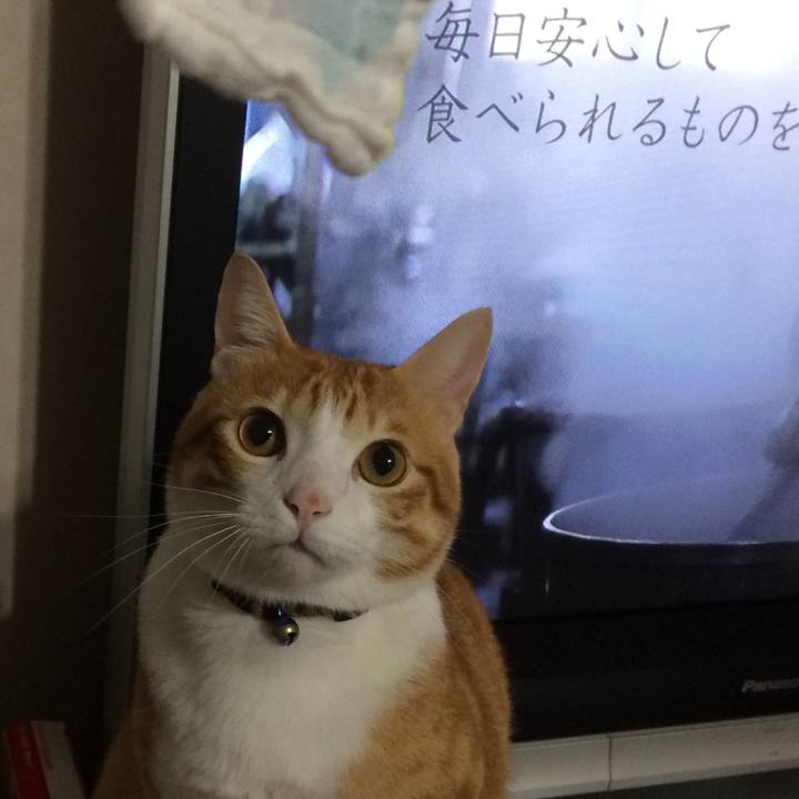 7209c667 c941 4af4 9af5 455bb58f9311 1508542869738