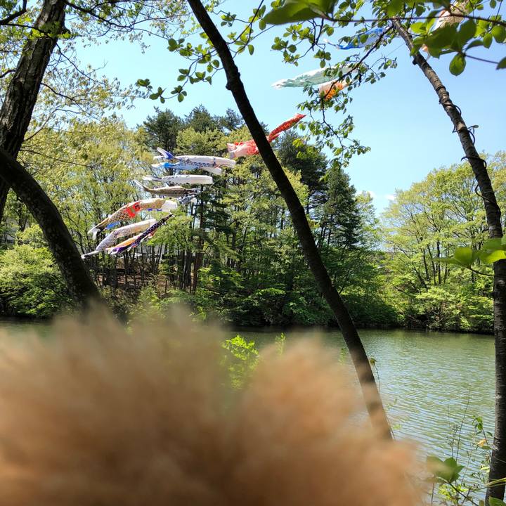 7209cf36 51ed 4fa7 8090 946840ef4ade 1557387780397