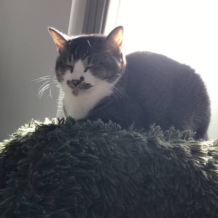 7209e344 0066 4d3a a5f6 9d3bbca39d4d 1519962990517