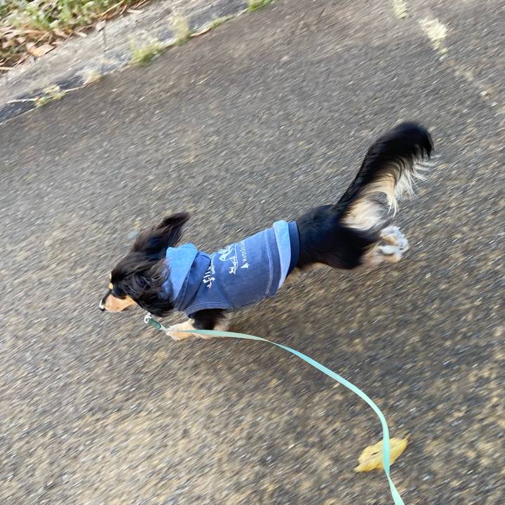 720a3003 f355 47a1 a136 6c8c9c7cf5d7 1733730491346