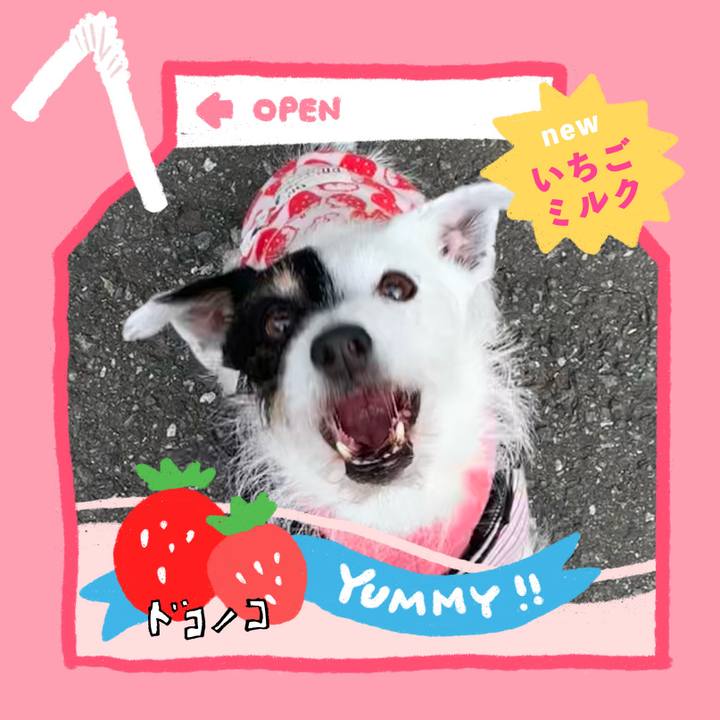 720a3f81 0ac7 4aa8 8eb3 2182ce94cc85 1711022977385